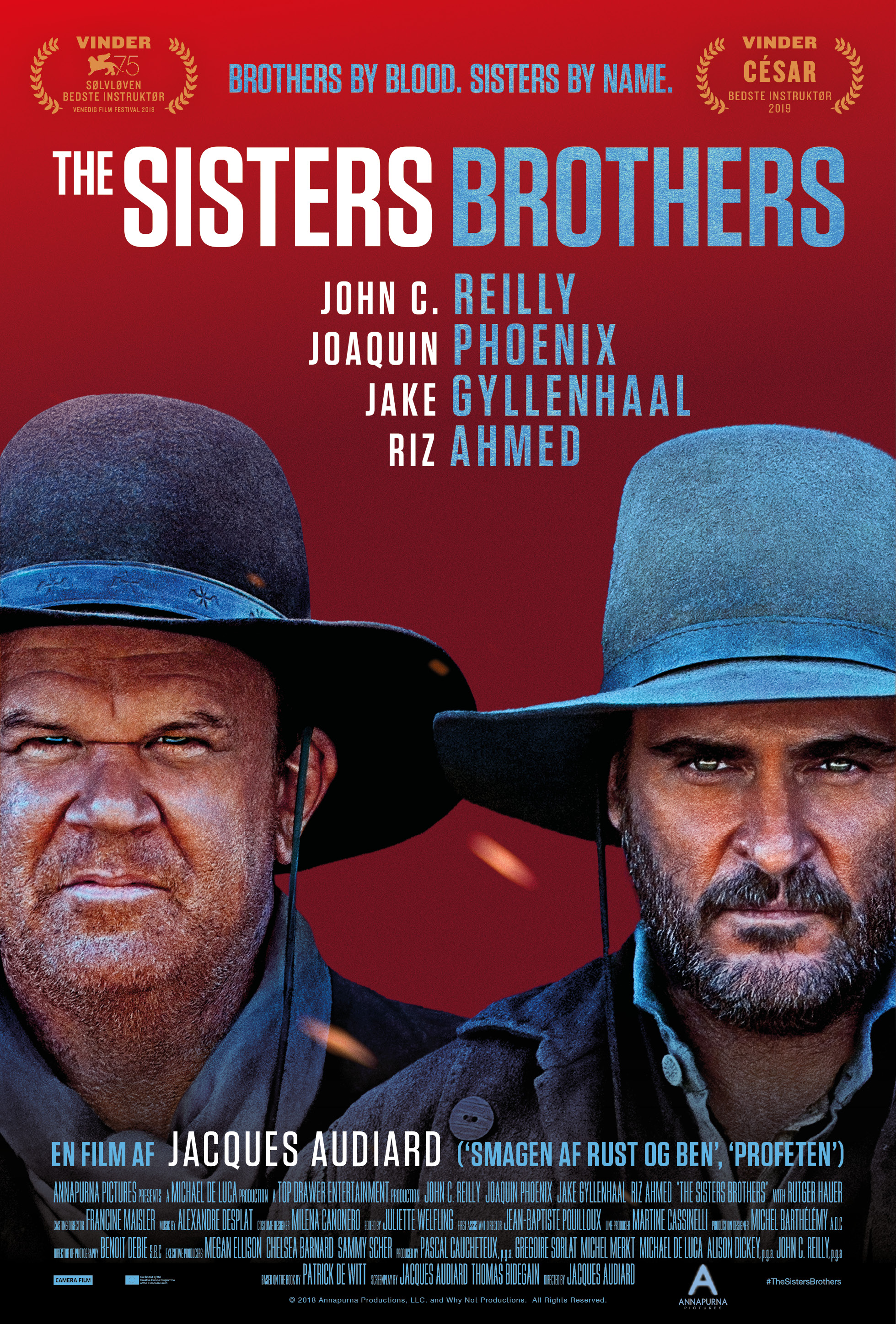 the sisters brothers book
